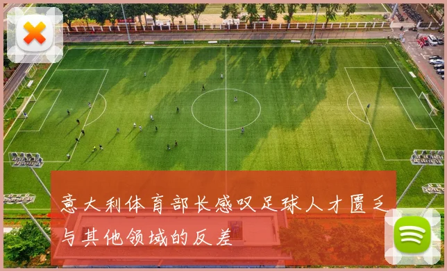 意大利体育部长感叹足球人才匮乏与其他领域的反差