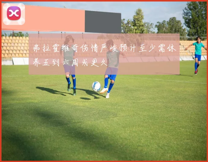 弗拉霍维奇伤情严峻预计至少需休养五到六周或更久
