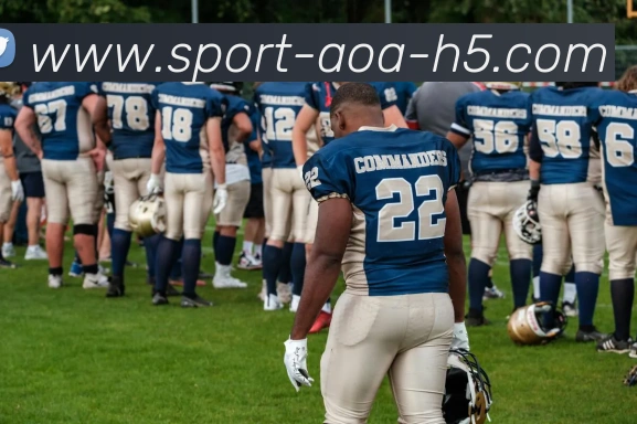 AOA体育平台生态图